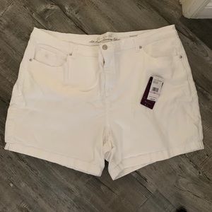 Gloria Vanderbilt Amanda shorts White 22w New
